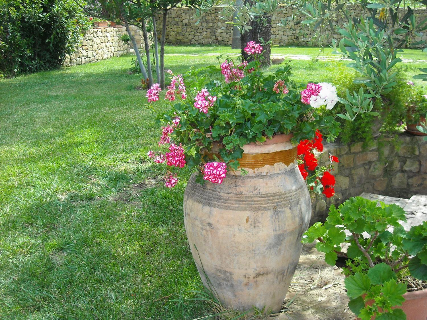 Agriturismo Villa Luca SantʼAgata di Militello Buitenkant foto
