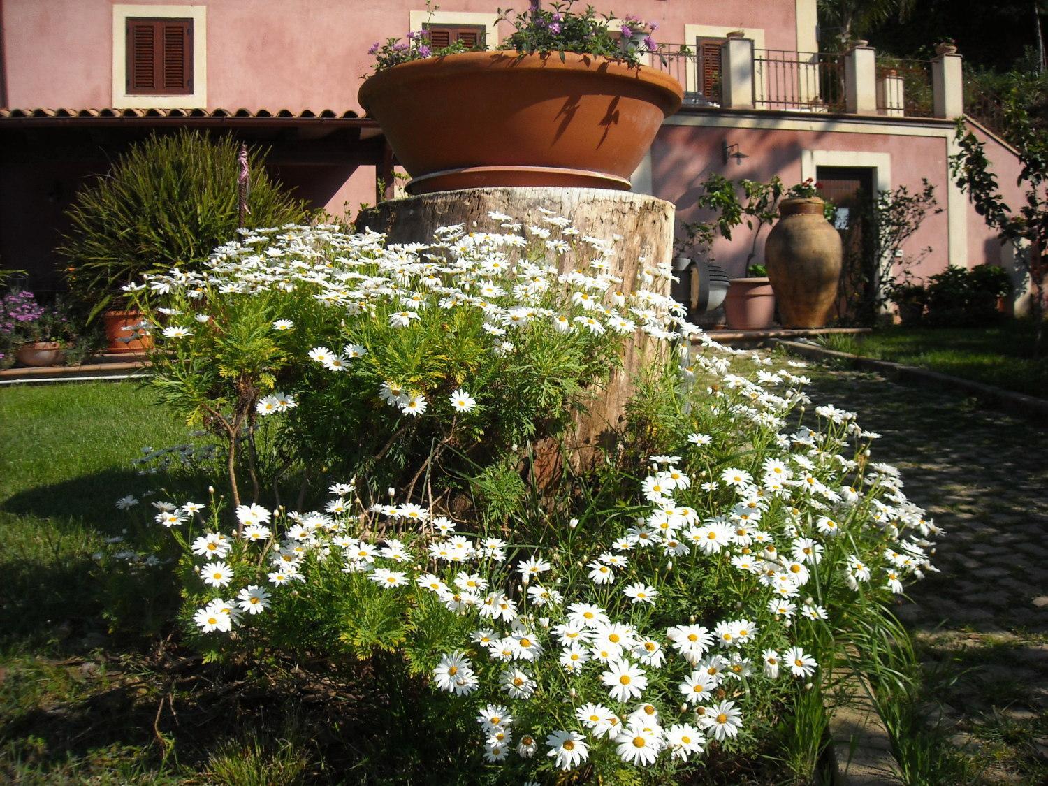 Agriturismo Villa Luca SantʼAgata di Militello Buitenkant foto